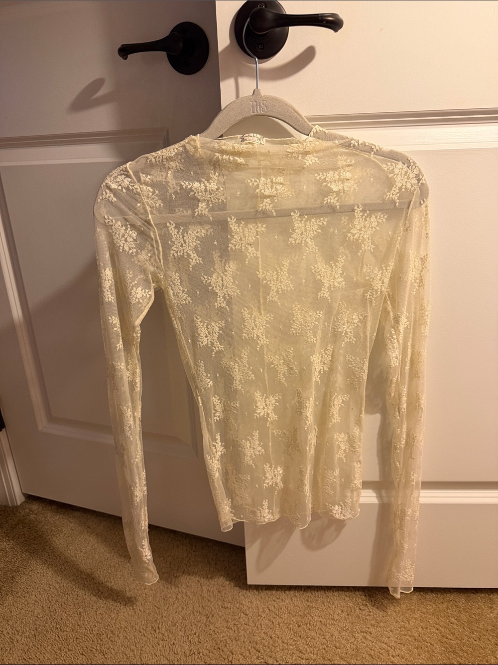 Free People Sheer Long-Sleeve Lace Top in Cream